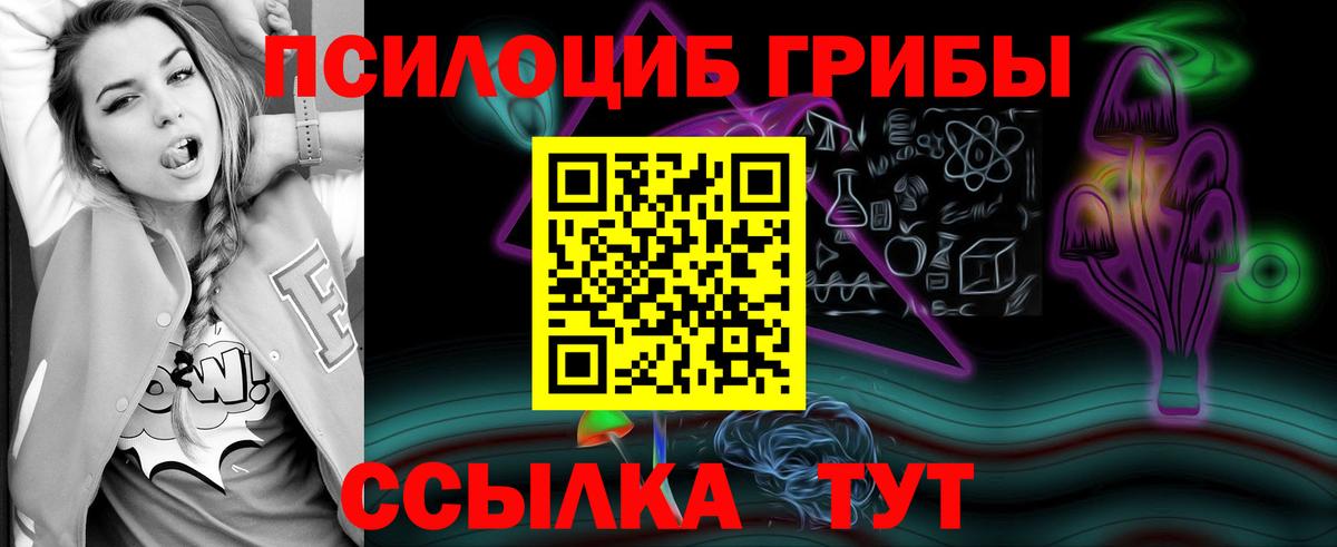 Междуреченск  наркотики  Вход с VPN  Галлюциногенные грибы прущие грибы 